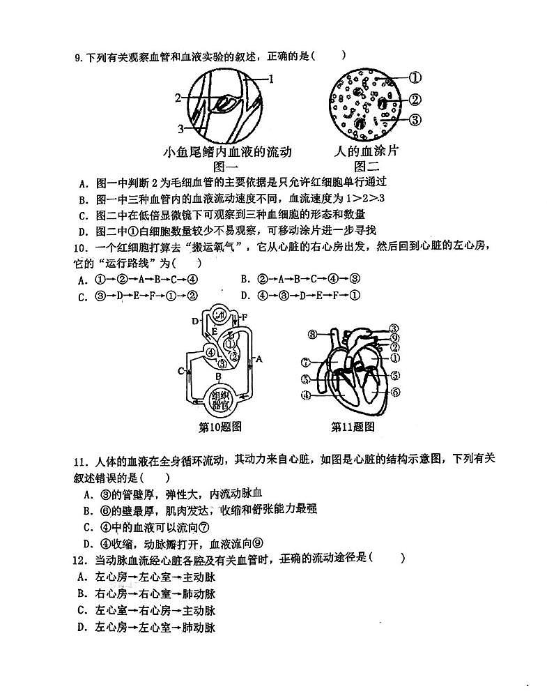 辽宁省鞍山市东方教育集团2025-2026学年八年级上学期第一次月考生物试题第2页