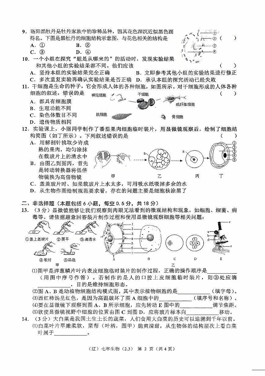 辽宁省辽阳市2025-2026学年第一学期七年级生物10月月考试卷（含答案）第2页