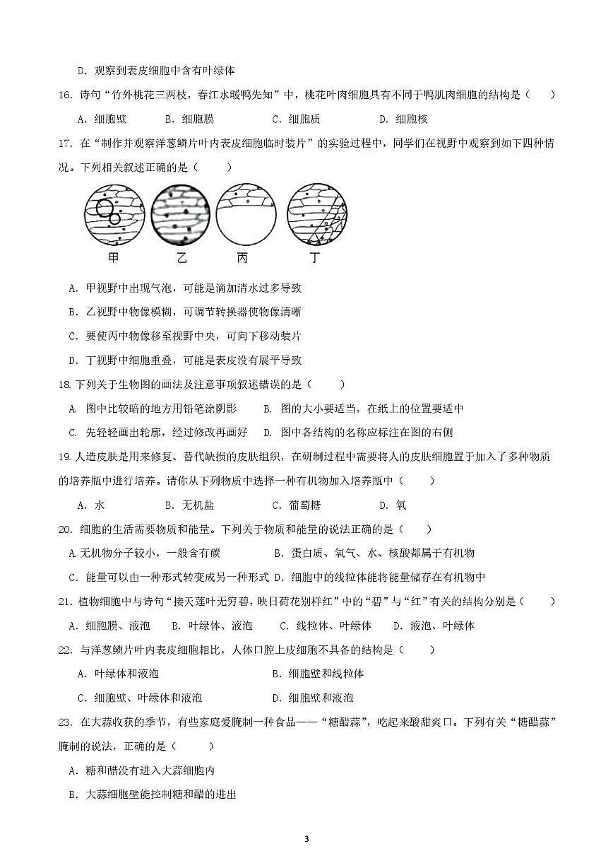四川省荣县中学校2025-2026学年七年级上学期第一次月考生物试题第3页