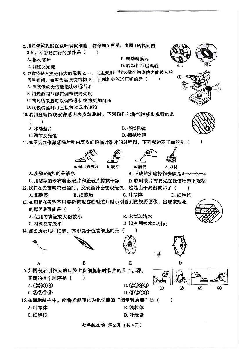 河南省周口市2025-2026学年七年级上学期10月月考生物试题第2页