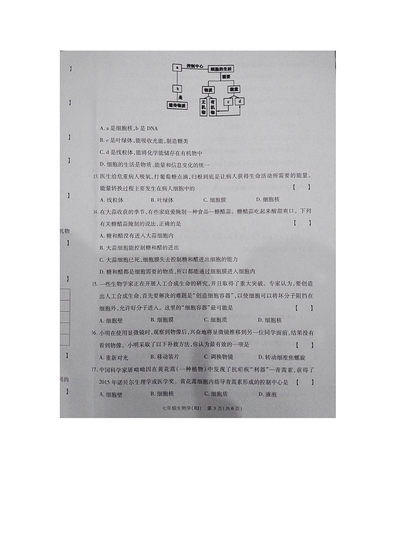 河南省商丘市睢县多乡镇2025-2026学年七年级上学期10月月考生物试题第3页