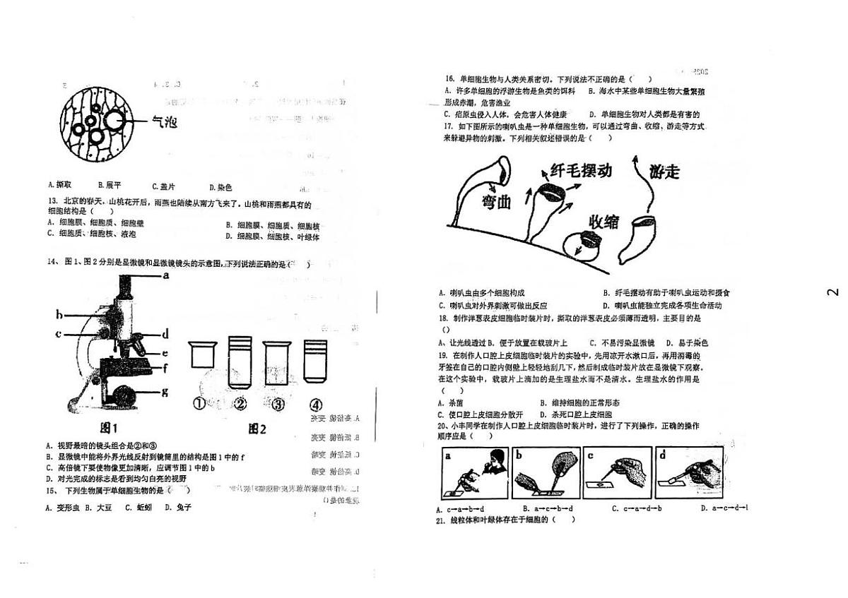 河北省石家庄市北附学校2025—2026学年七年级上学期10月月考生物试卷第2页