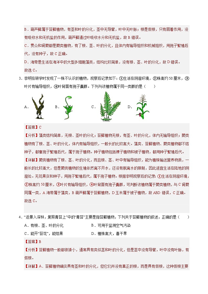 7.2 苔藓植物与蕨类植物（解析版）第2页