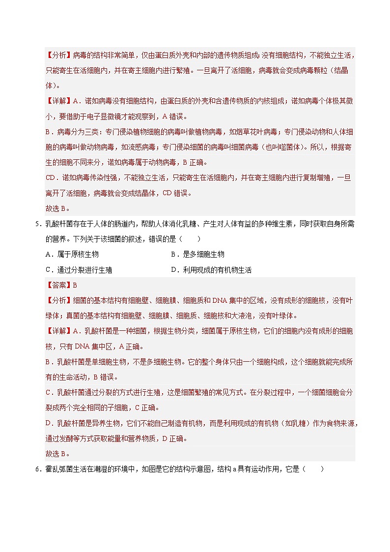 9.1 病毒与细菌（解析版）第3页