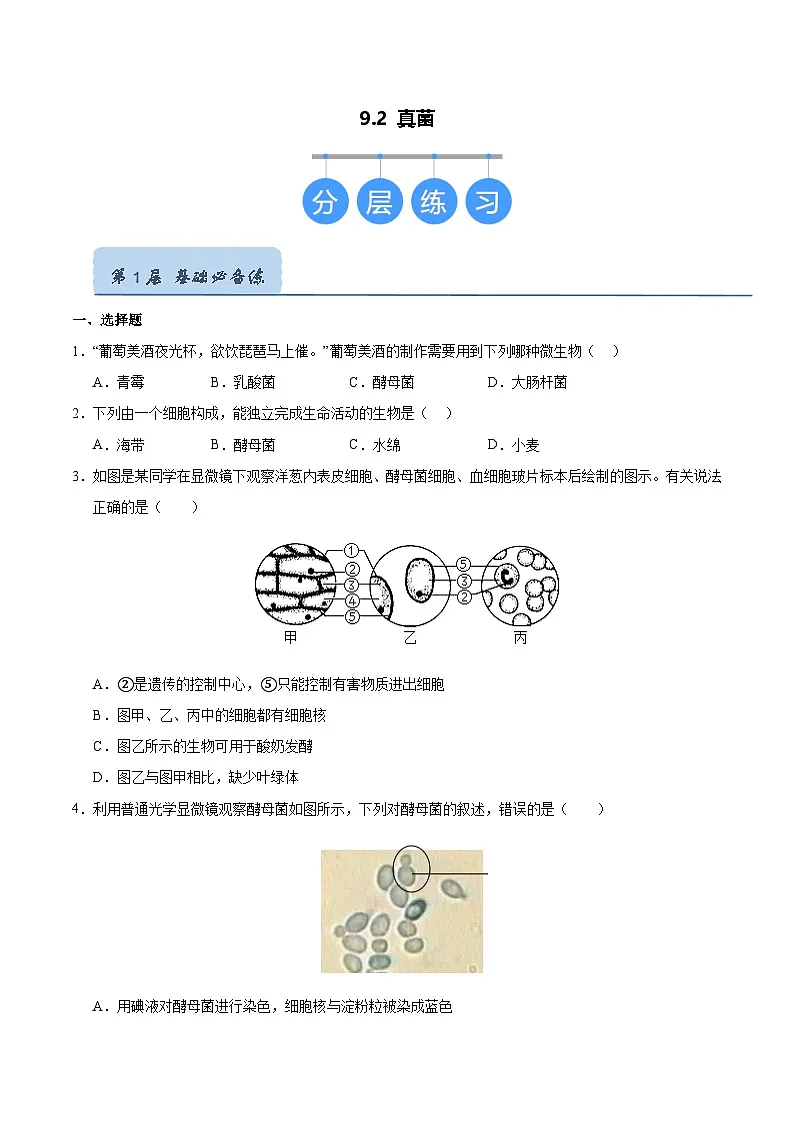9.2 真菌（原卷版）第1页