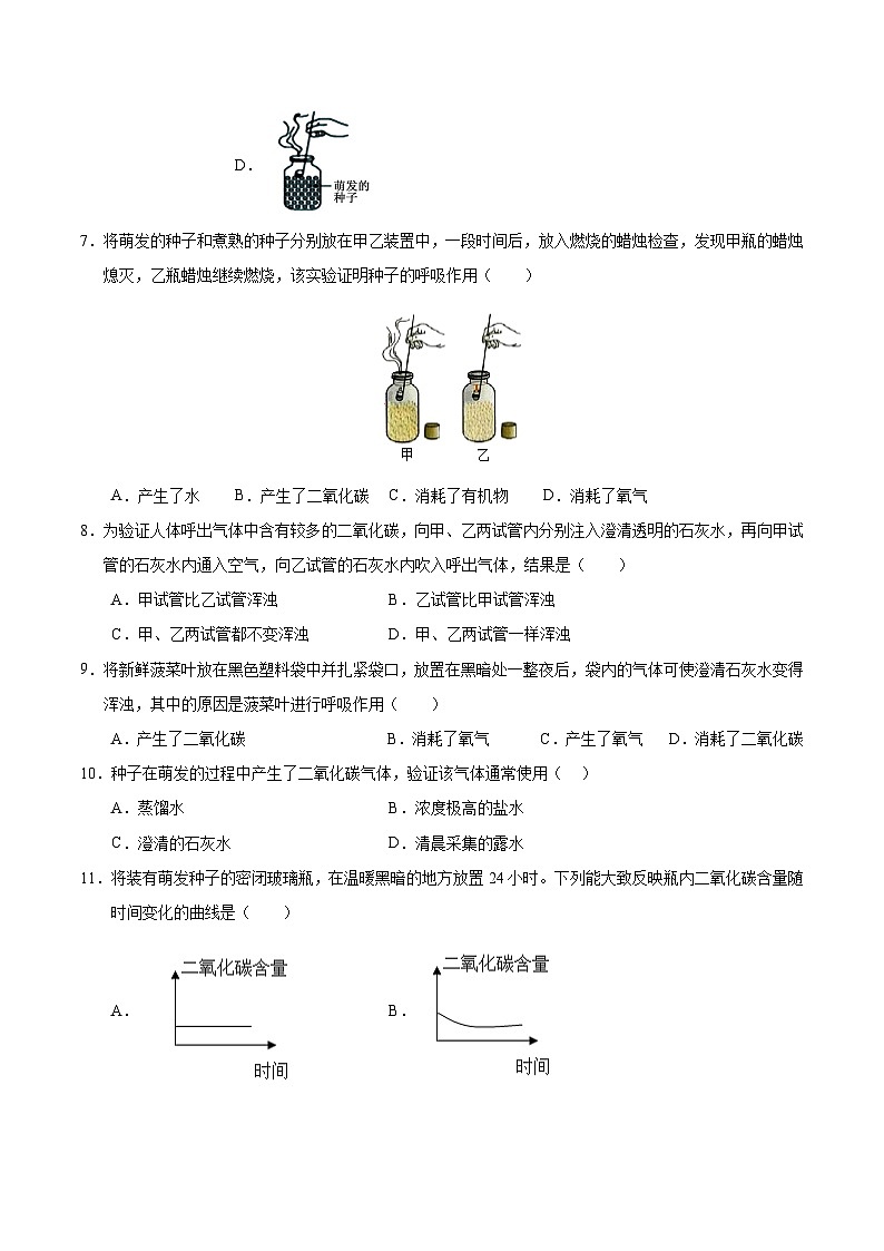 12.2 植物维持生物圈中的碳氧平衡（第2课时）（原卷版）第2页