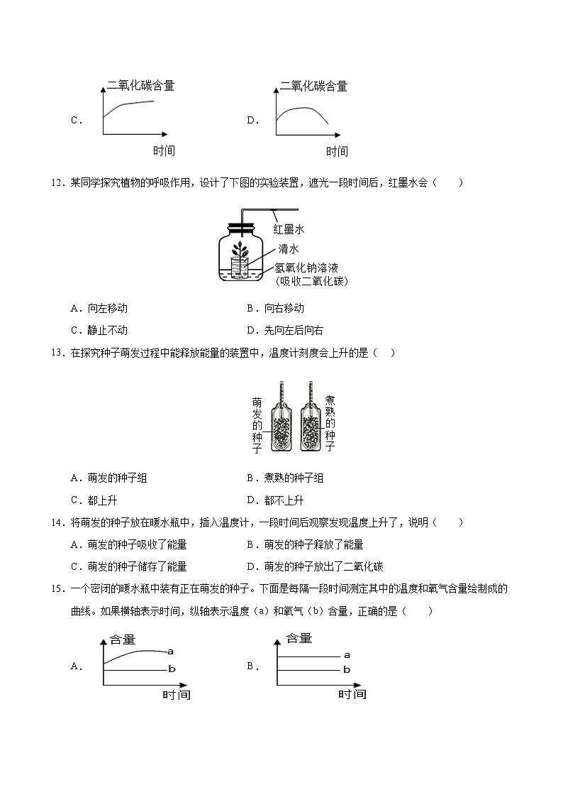 12.2 植物维持生物圈中的碳氧平衡（第2课时）（原卷版）第3页