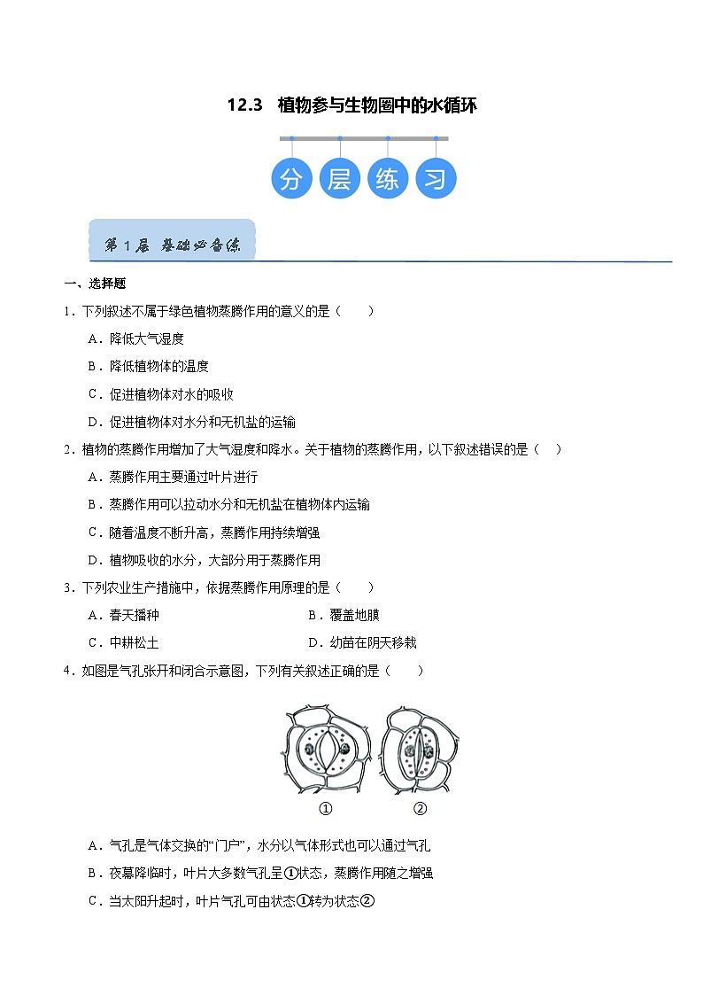 12.3 植物参与生物圈中的水循环（原卷版）第1页