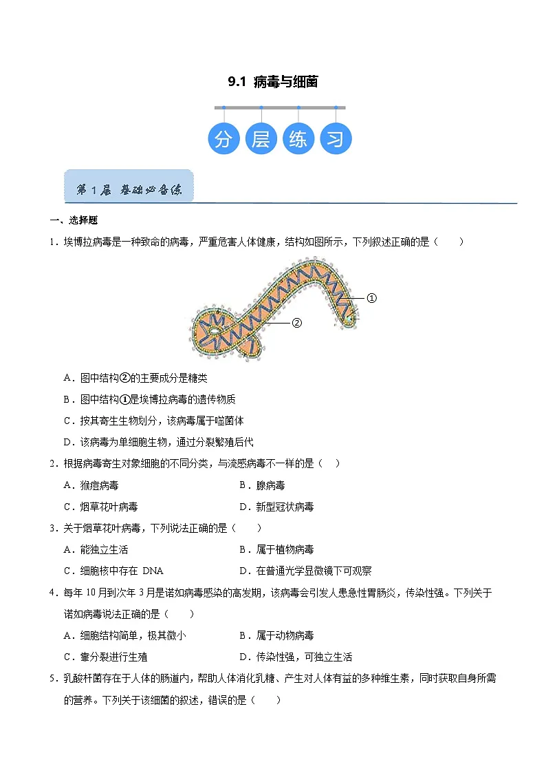 9.1 病毒与细菌（原卷版）第1页