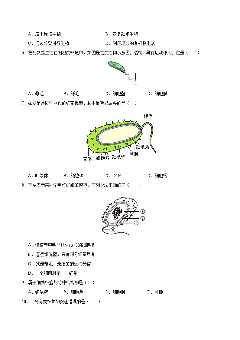 9.1 病毒与细菌（原卷版）第2页