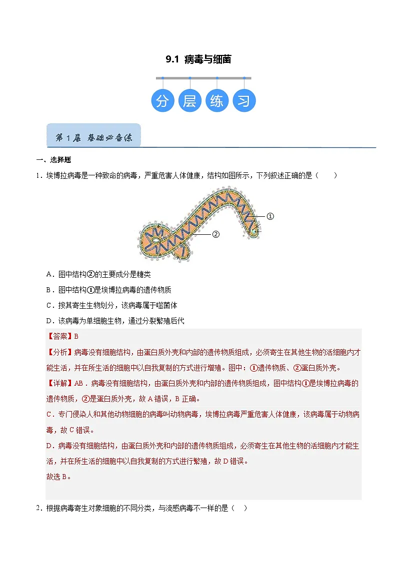 9.1 病毒与细菌（解析版）第1页