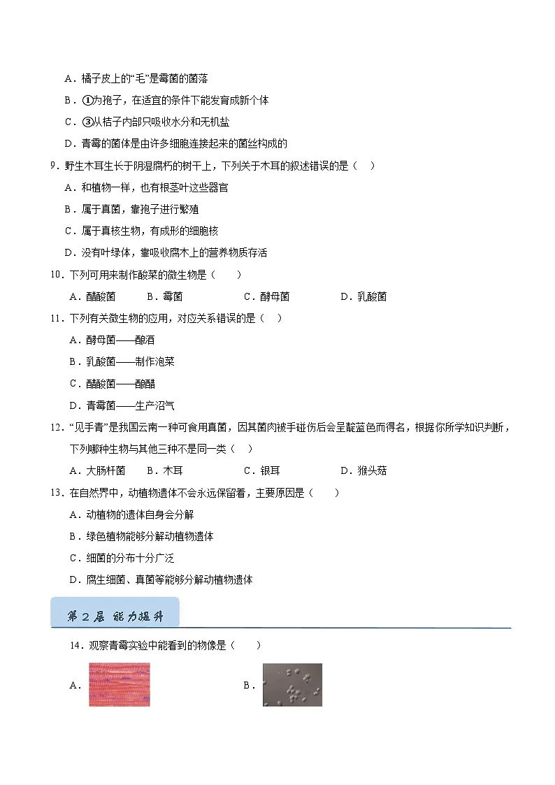 9.2 真菌（原卷版）第3页
