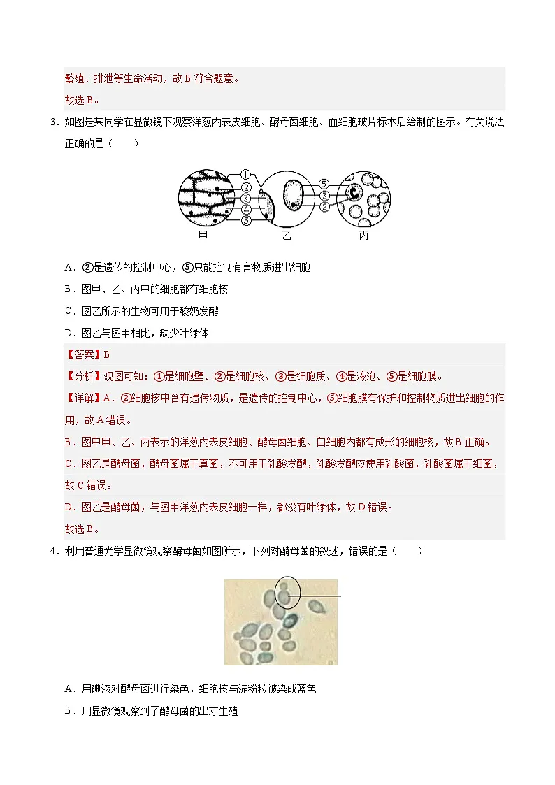 9.2 真菌（解析版）第2页