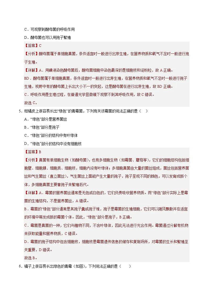 9.2 真菌（解析版）第3页