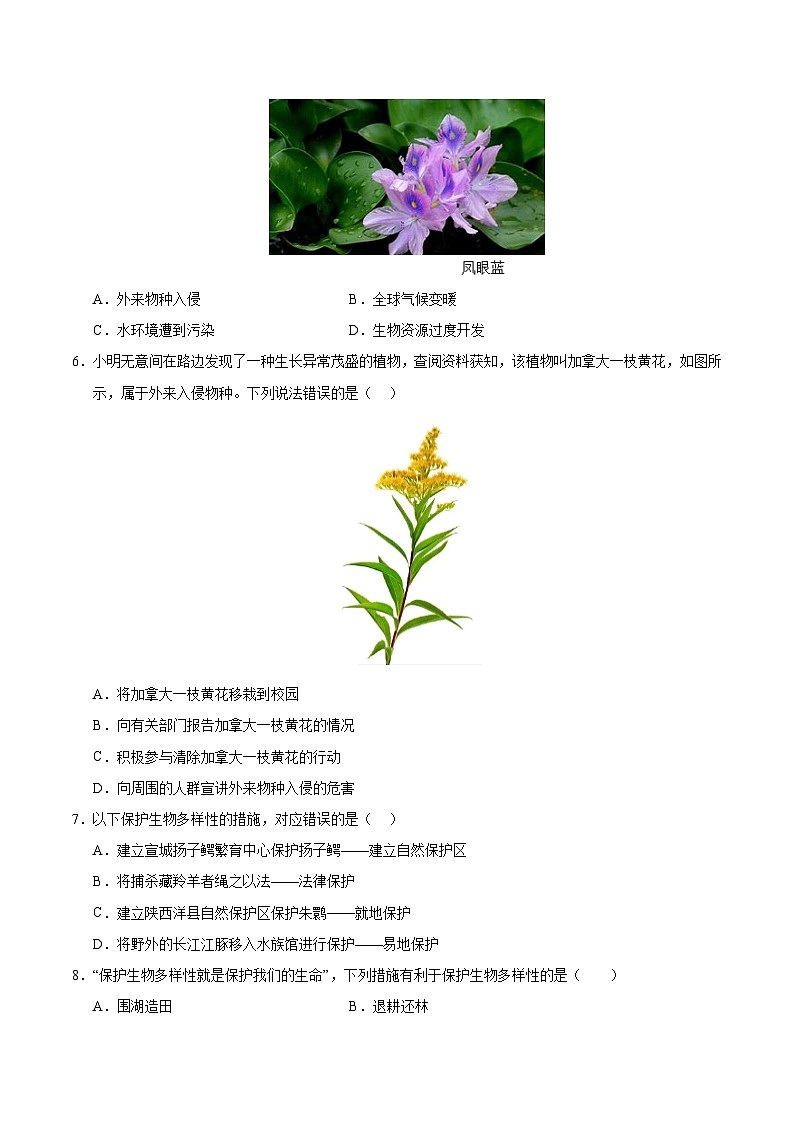 10 保护生物多样性（原卷版）第2页
