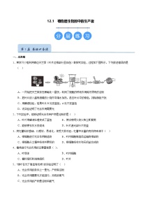 苏科版（2024）七年级下册（2024）植物是生物圈中的生产者精品练习