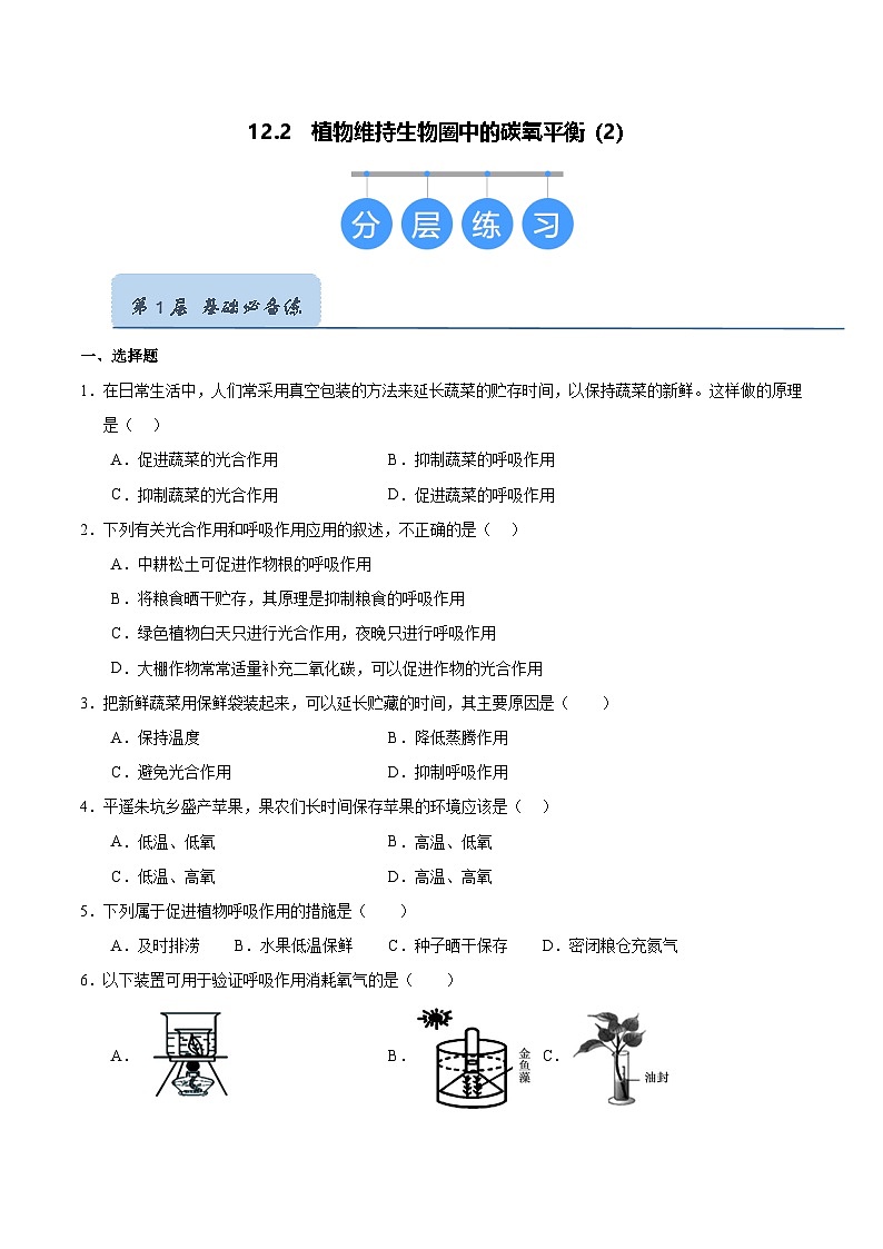 12.2 植物维持生物圈中的碳氧平衡（第2课时）（原卷版）第1页
