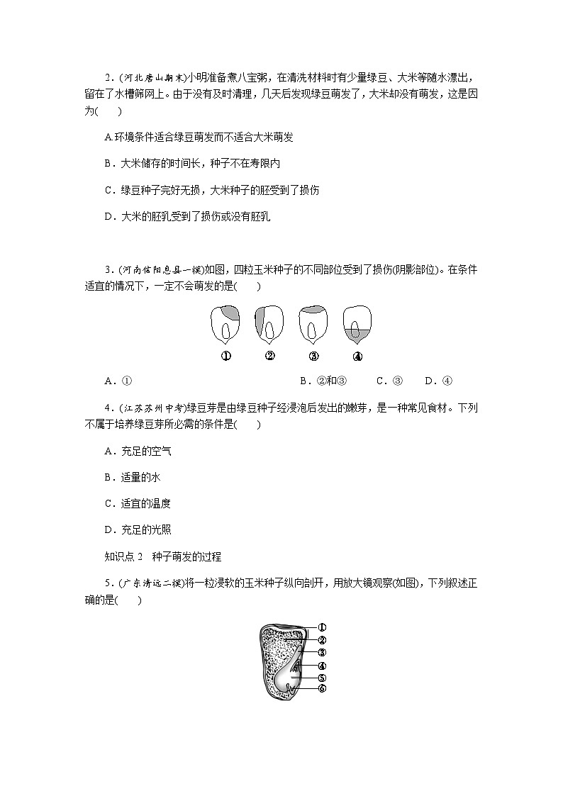 3.1.1　种子的萌发 - 学生版第2页