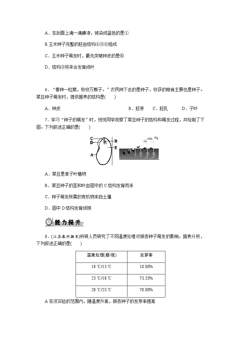 3.1.1　种子的萌发 - 学生版第3页