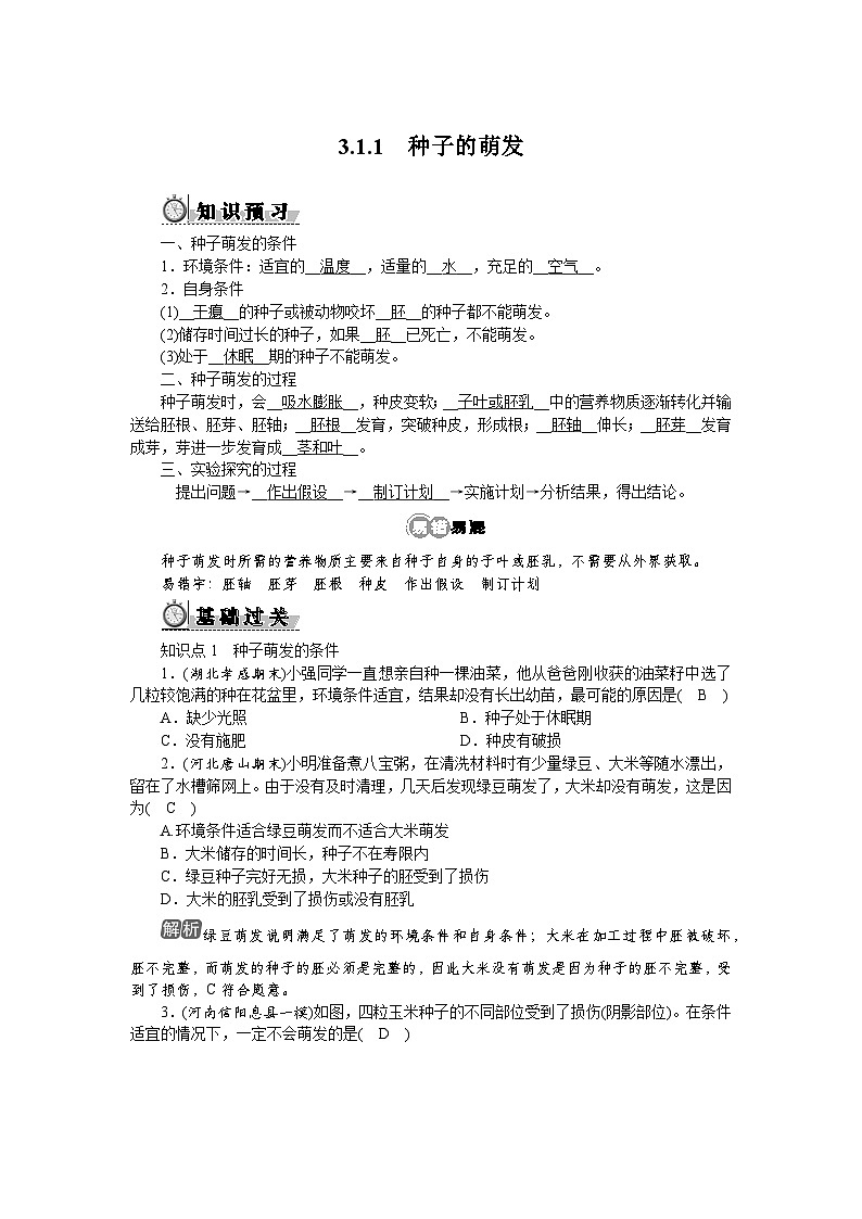 3.1.1　种子的萌发第1页