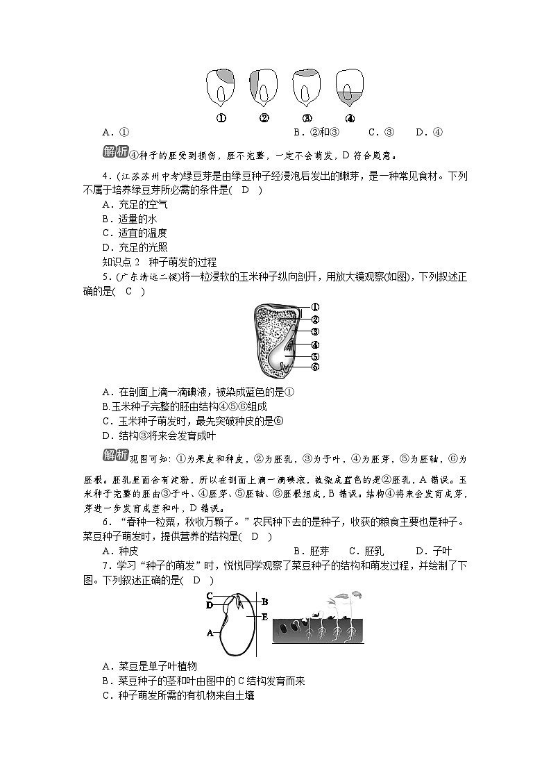 3.1.1　种子的萌发第2页
