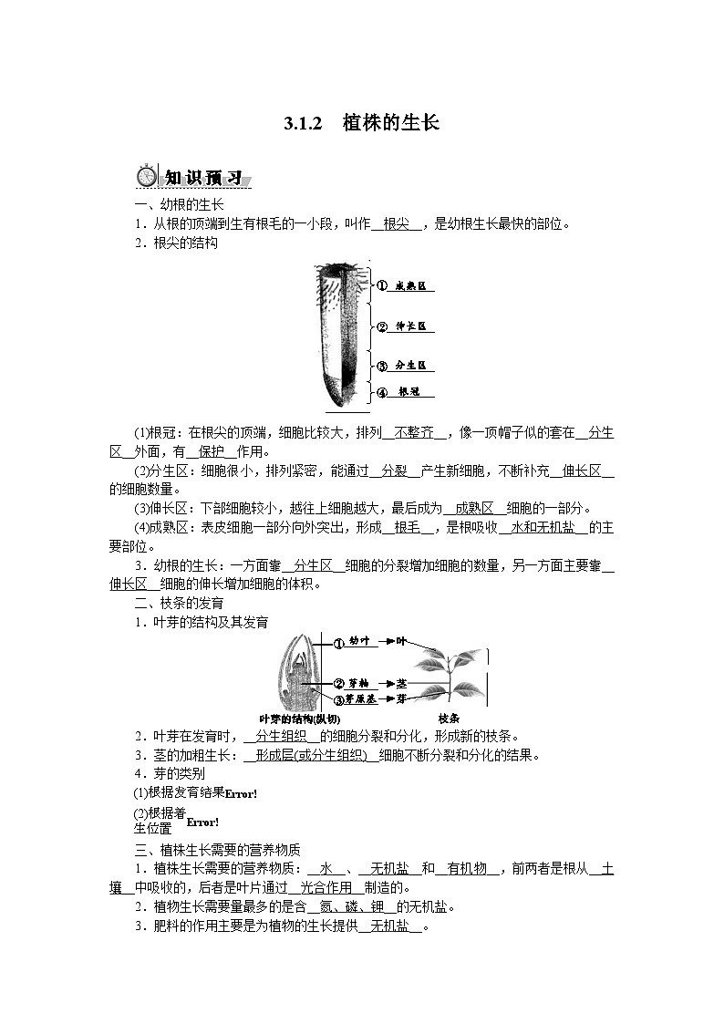 3.1.2　植株的生长第1页