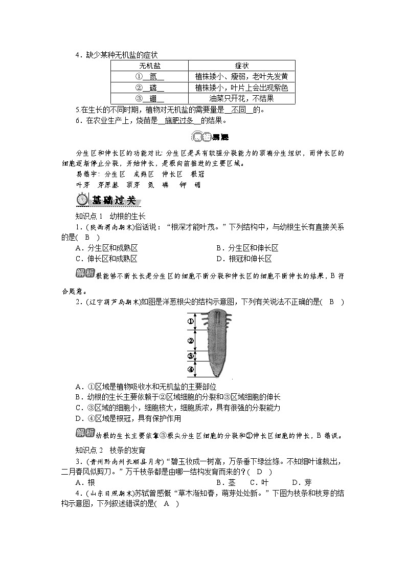 3.1.2　植株的生长第2页