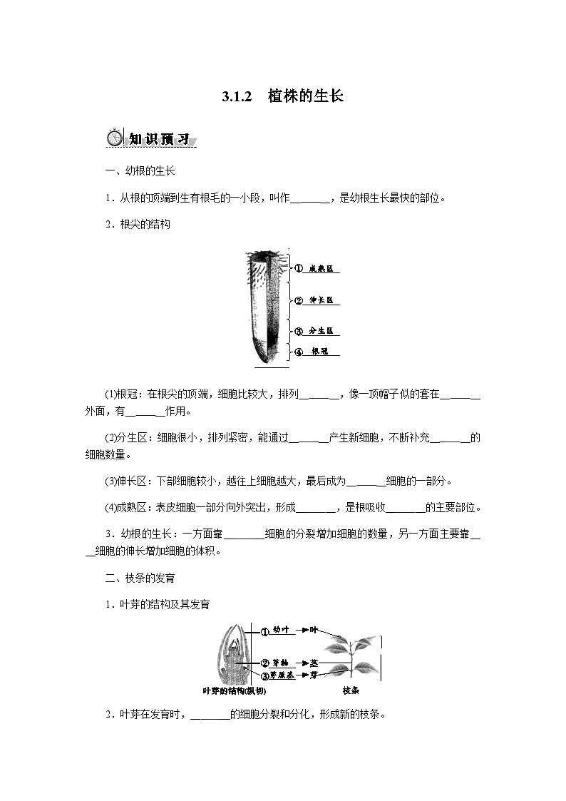 3.1.2　植株的生长 - 学生版第1页