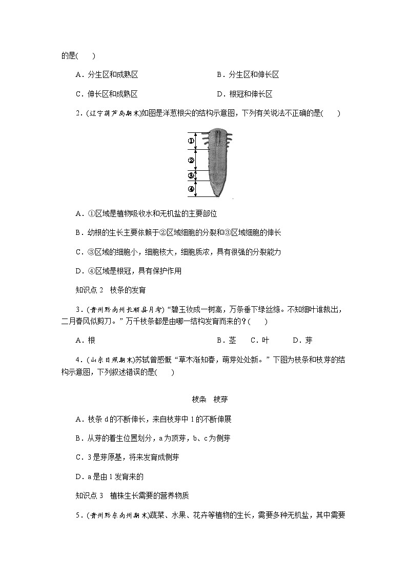 3.1.2　植株的生长 - 学生版第3页