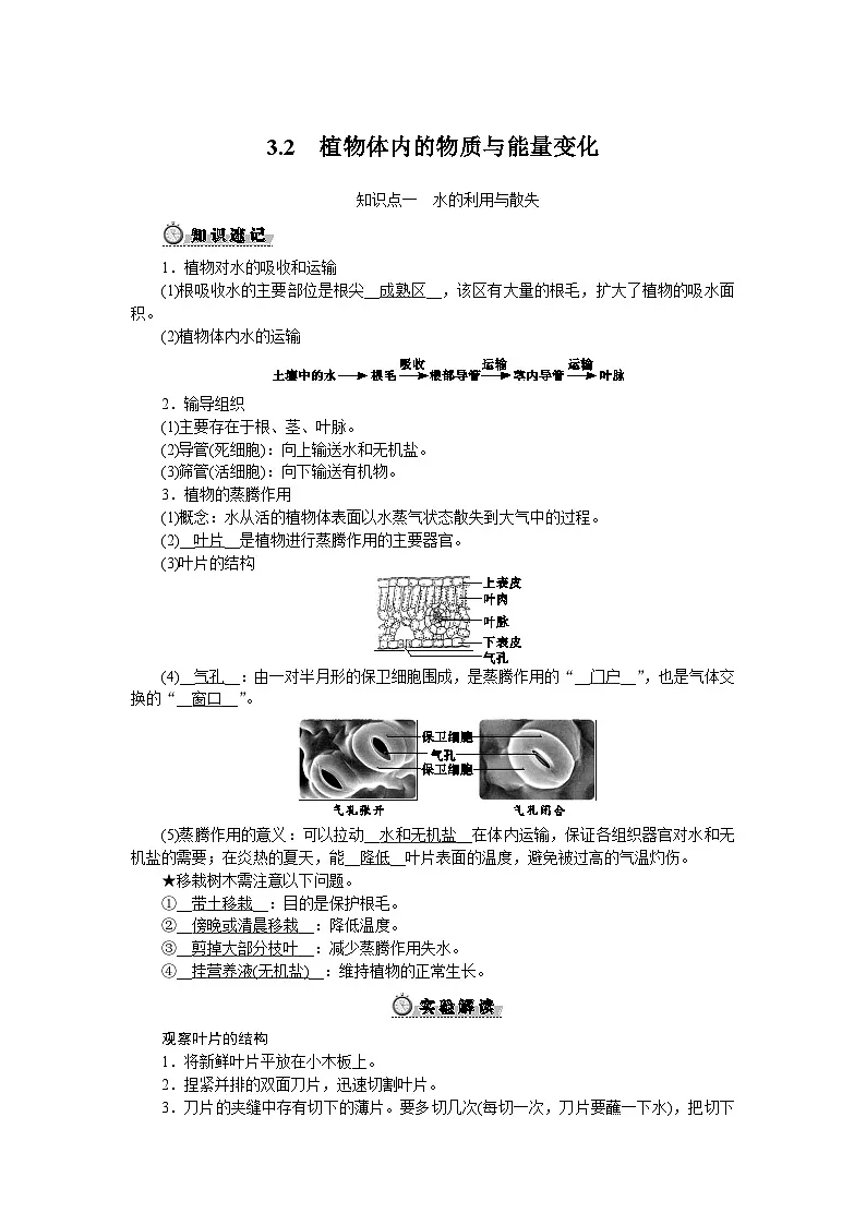 3.2　植物体内的物质与能量变化第1页