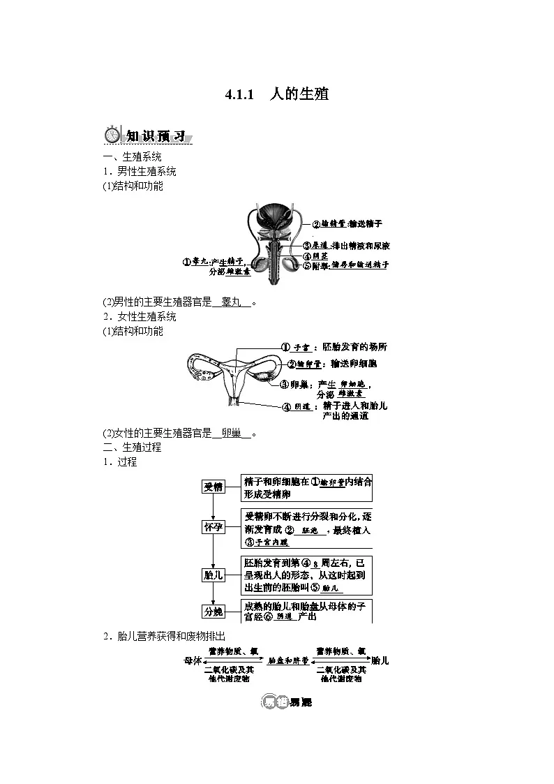 4.1.1　人的生殖第1页