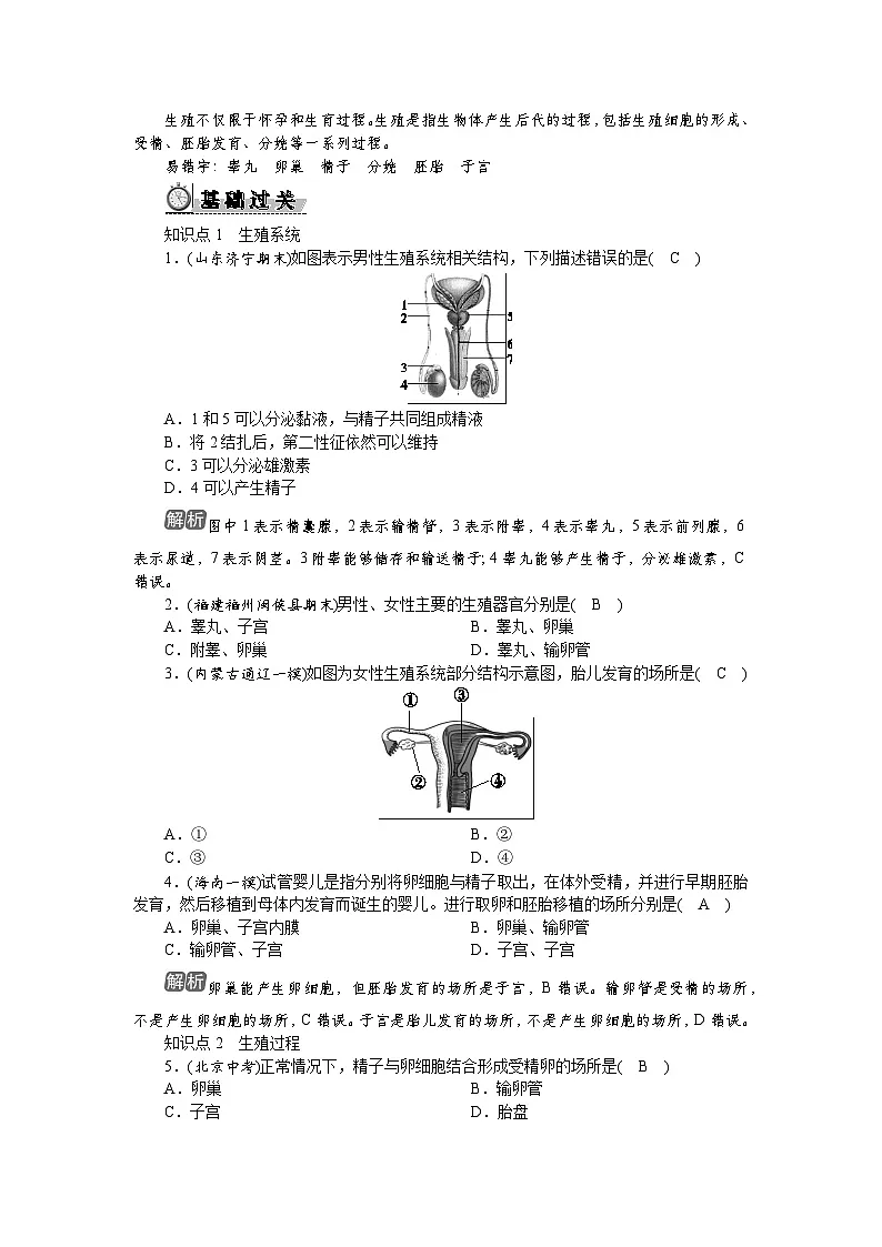 4.1.1　人的生殖第2页