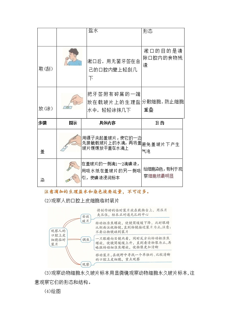专题05 动物细胞（原卷版）第2页