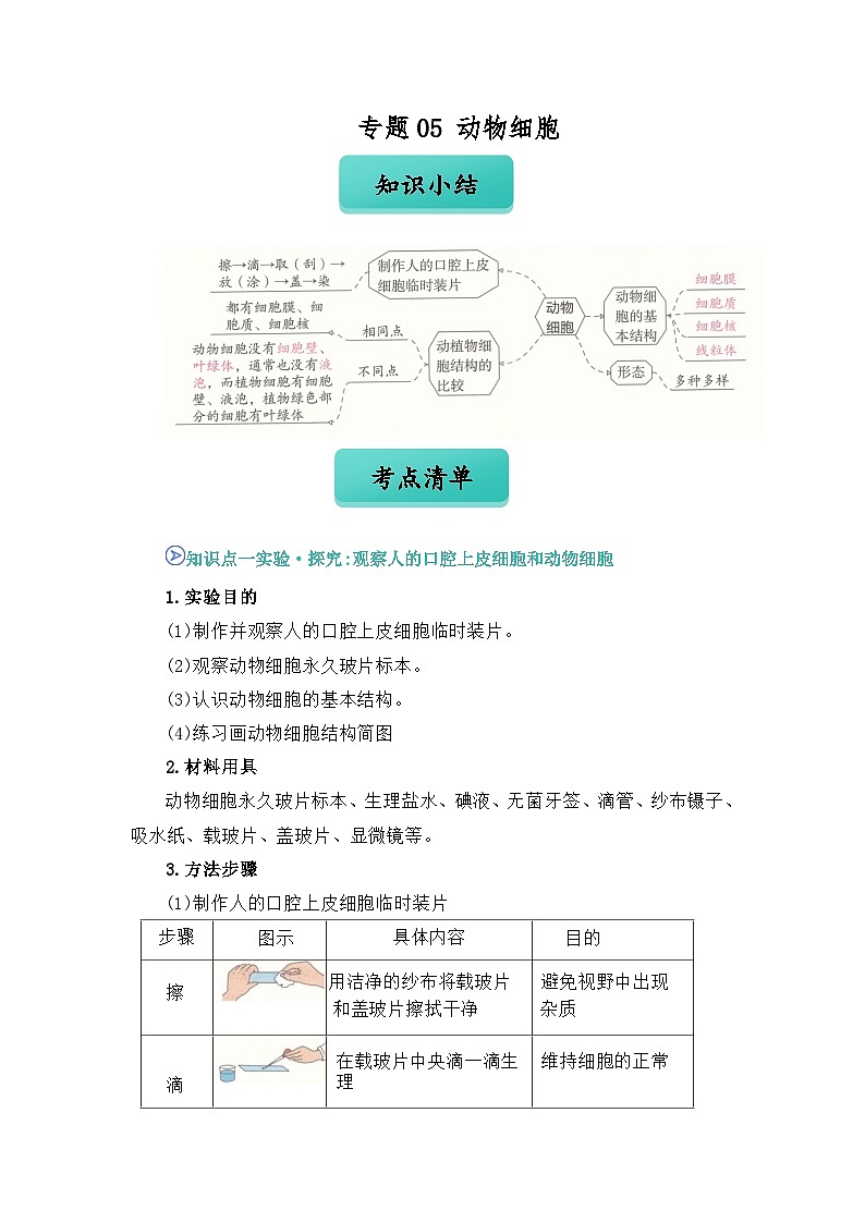 专题05 动物细胞（解析版）第1页