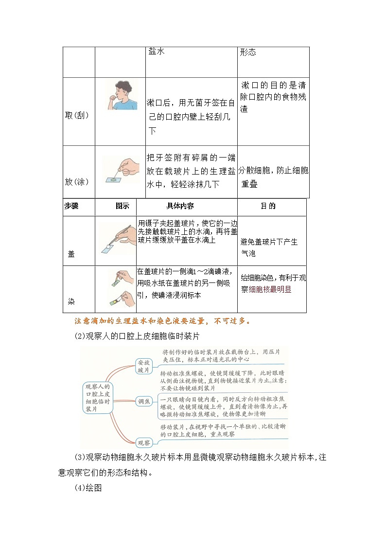 专题05 动物细胞（解析版）第2页