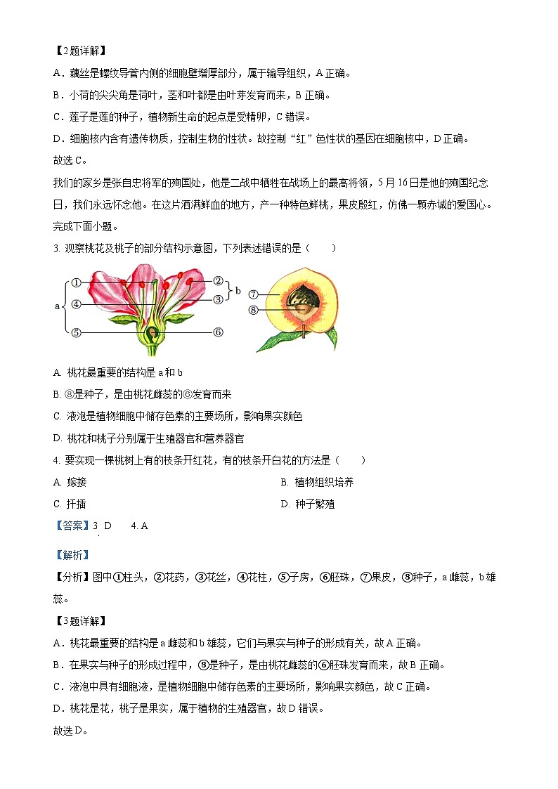 2025年湖北省荆楚名优联盟八年级中考模拟生物试题（解析版）-A4第2页