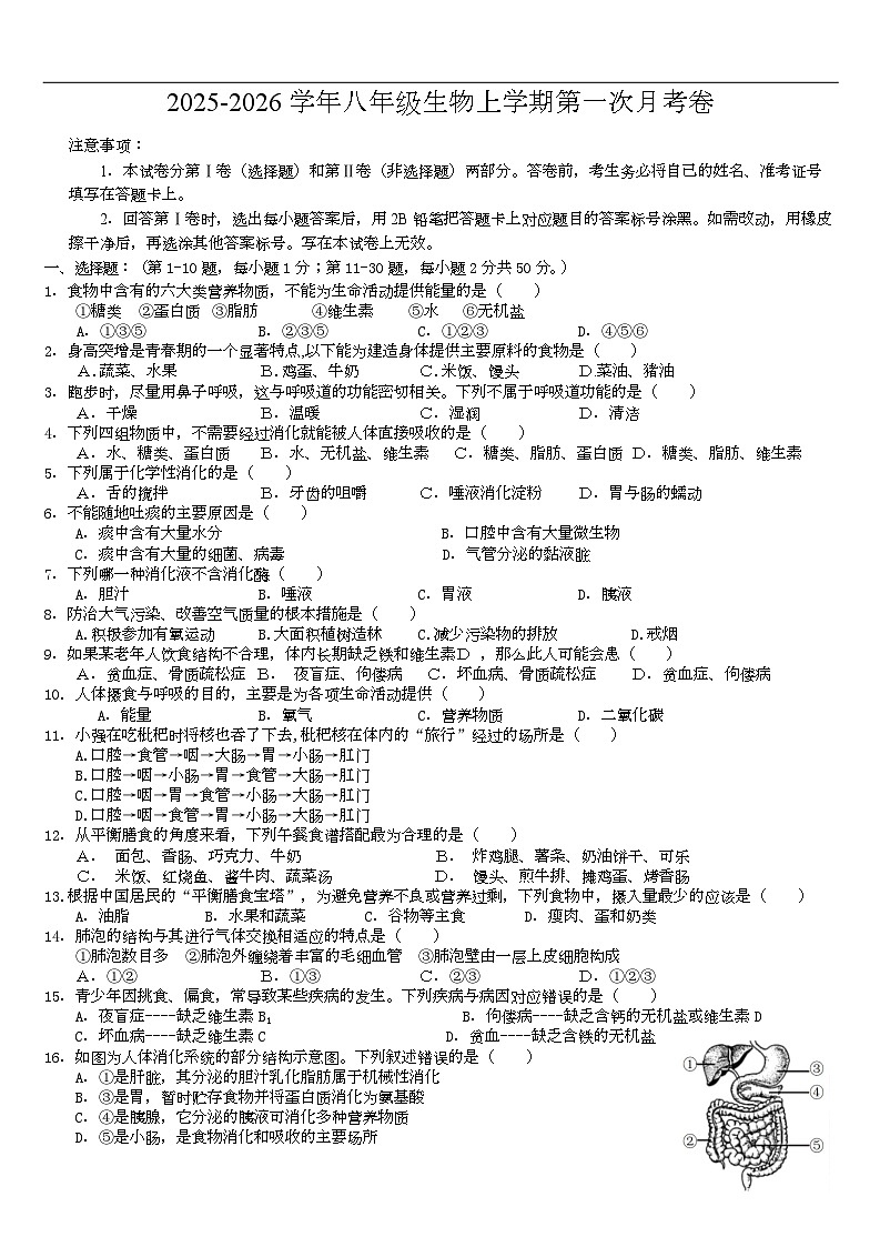 四川省内江市第一中学2025-2026学年八年级上学期第一次月考生物试题第1页