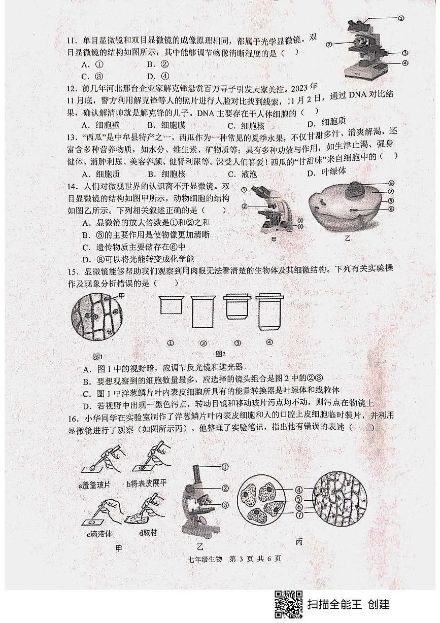 山东省枣庄市山亭区2025-2026学年七年级上学期10月月考生物试题第3页