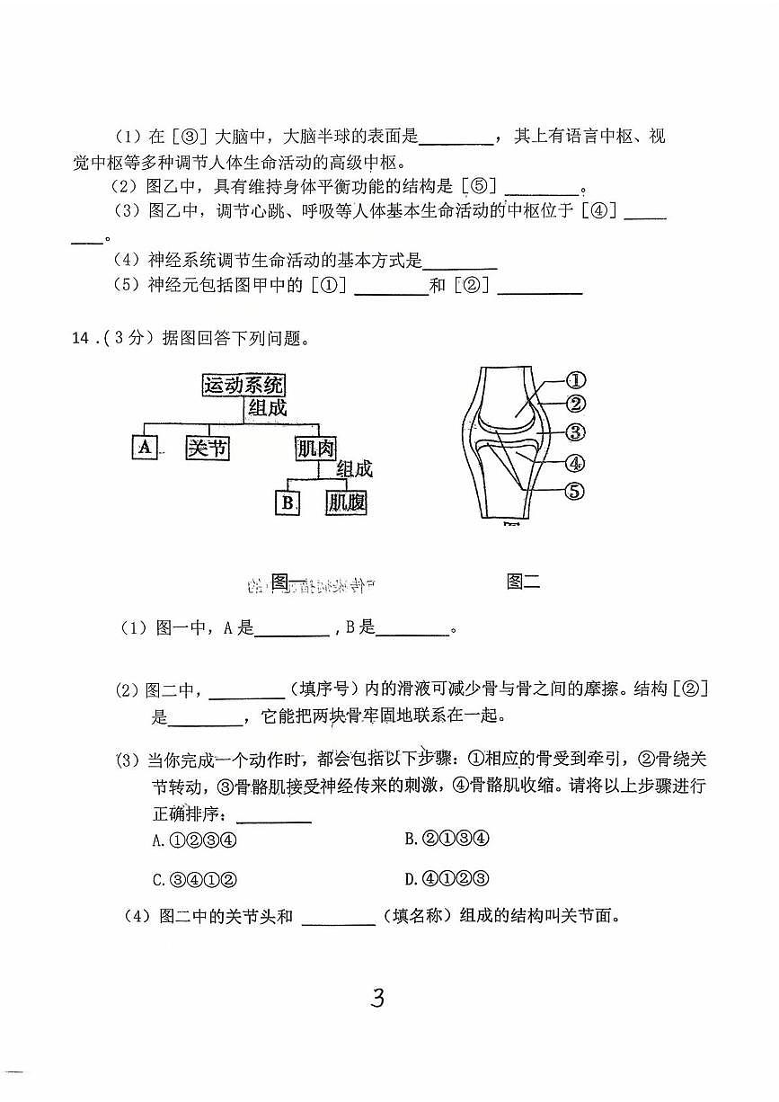 辽宁省铁岭市铁岭县莲花第一初级中学2025-2026学年八年级上学期10月月考生物试题第3页