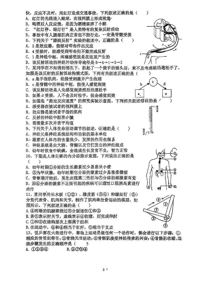 山东省青岛市实验学校2025-2026学年八年级上学期10月月考生物试题第2页