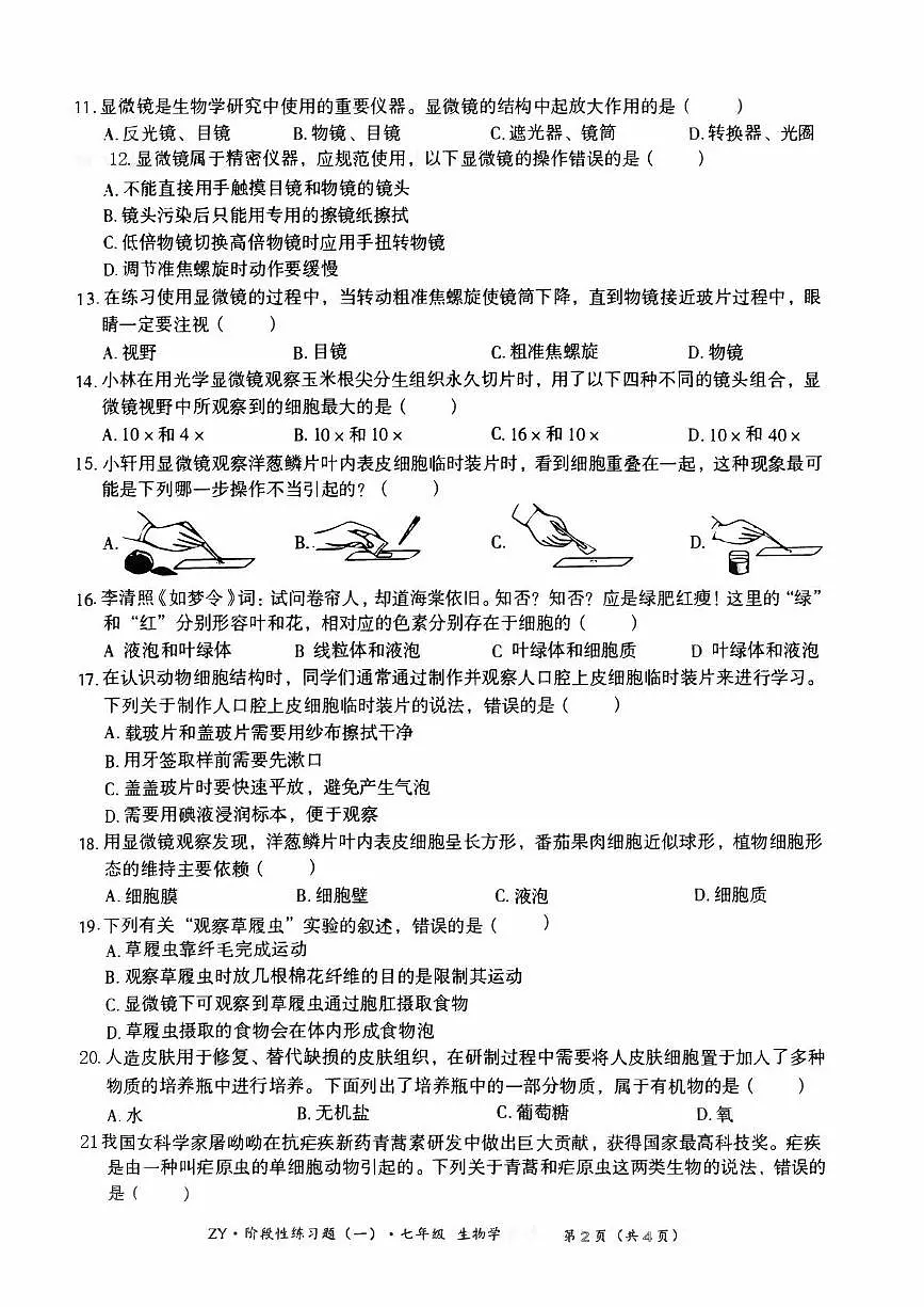 贵州省遵义市红花岗区2025-2026学年七年级上学期10月月考生物试题第2页