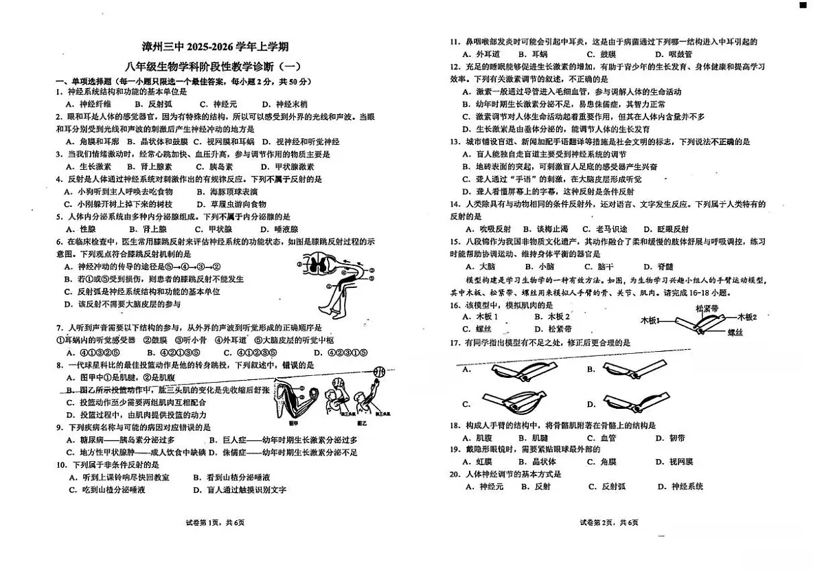 福建省漳州市第三中学2025-2026学年八年级上学期10月月考生物试题第1页