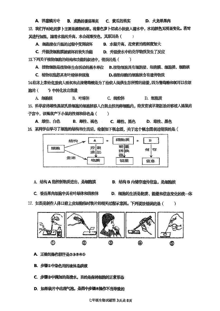 山东省青岛市实验学校2025-2026学年七年级上学期10月月考试生物试题（无答案）第3页