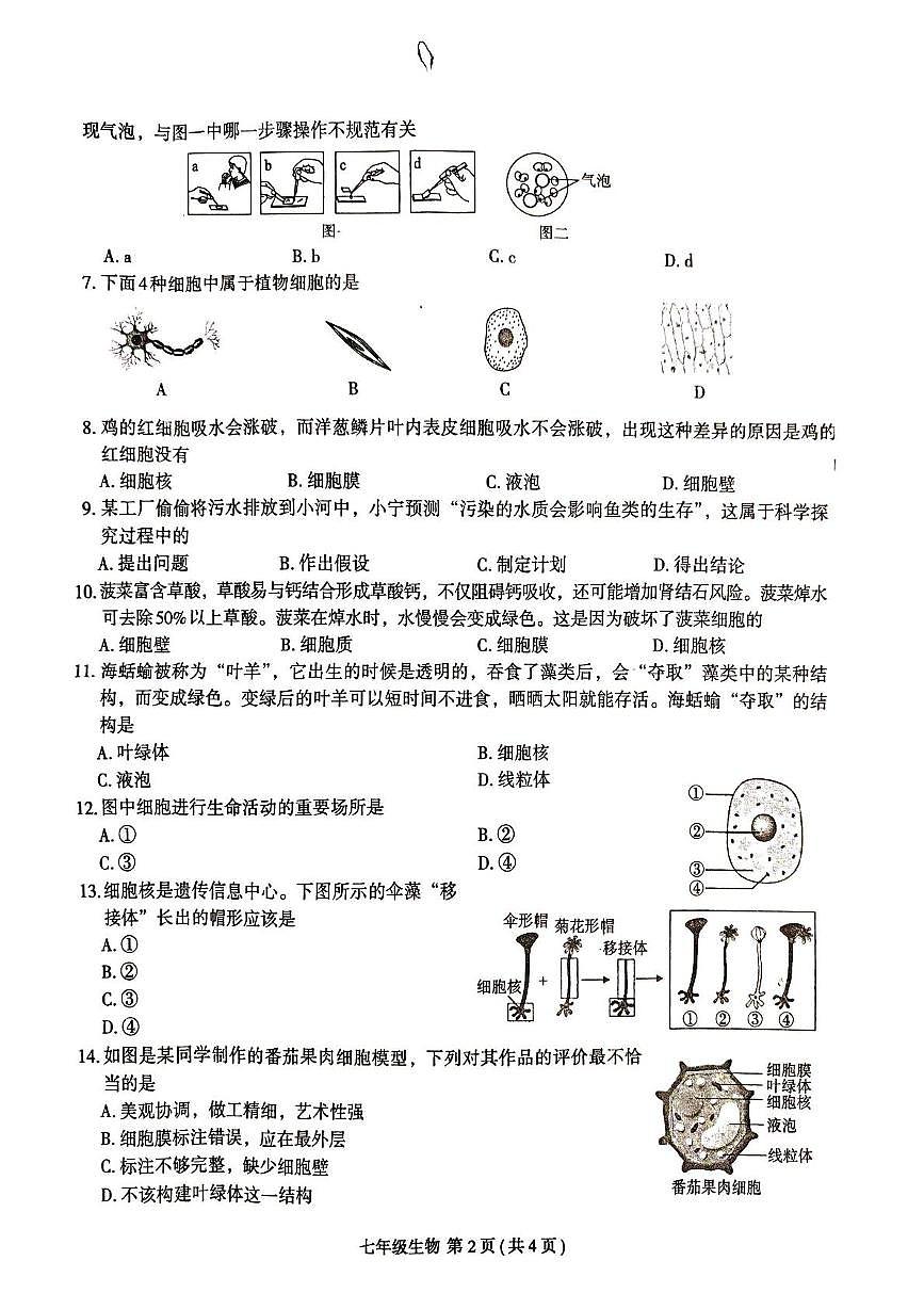 河南省周口市太康县2025-2026学年七年级上学期10月月考生物试题第2页