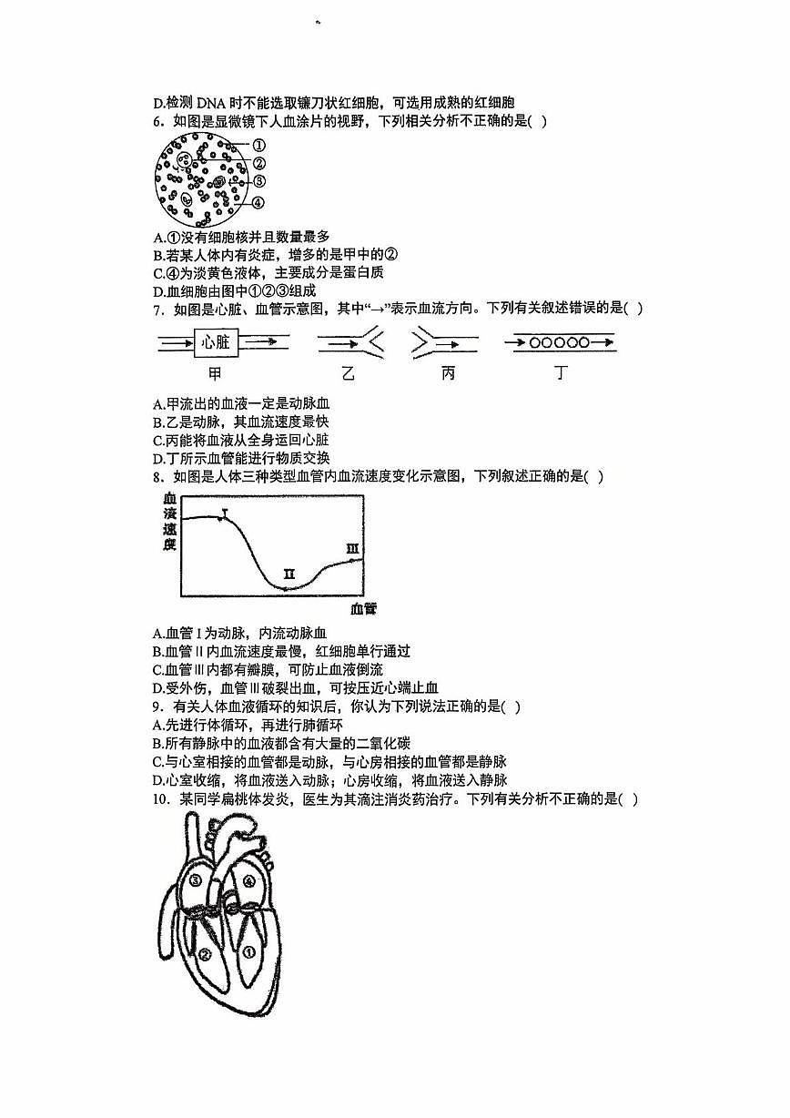 江苏省徐州市睢宁县春晖中学2025-2026学年八年级上学期10月月考生物试题第2页