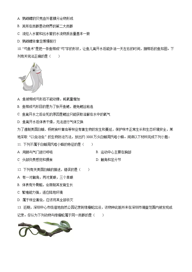 精品解析：广东省深圳市宝安区七校联考2024-2025学年八年级上学期期中生物试题（原卷版）第3页