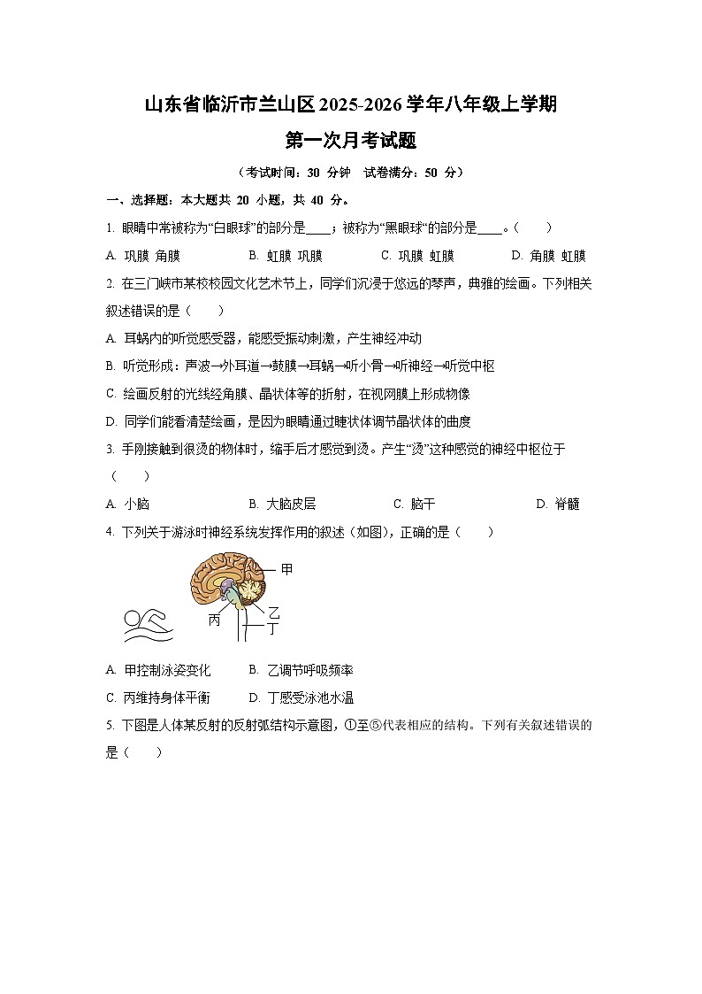 山东省临沂市兰山区2025-2026学年八年级上学期第一次月考生物试题（学生版）第1页