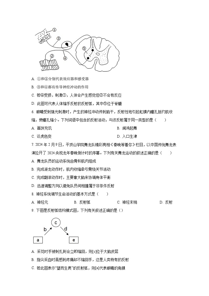 山东省临沂市兰山区2025-2026学年八年级上学期第一次月考生物试题（学生版）第2页