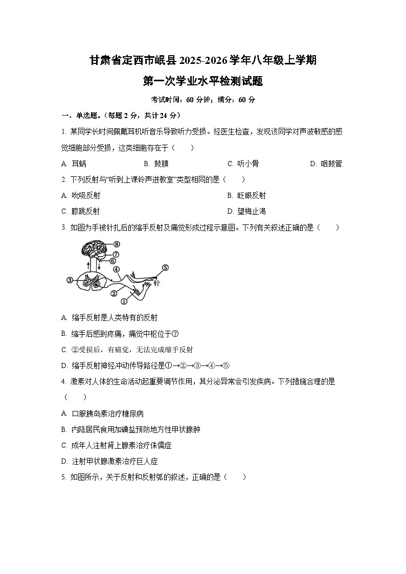甘肃省定西市岷县2025-2026学年八年级上学期第一次学业水平检测生物试题（学生版）第1页