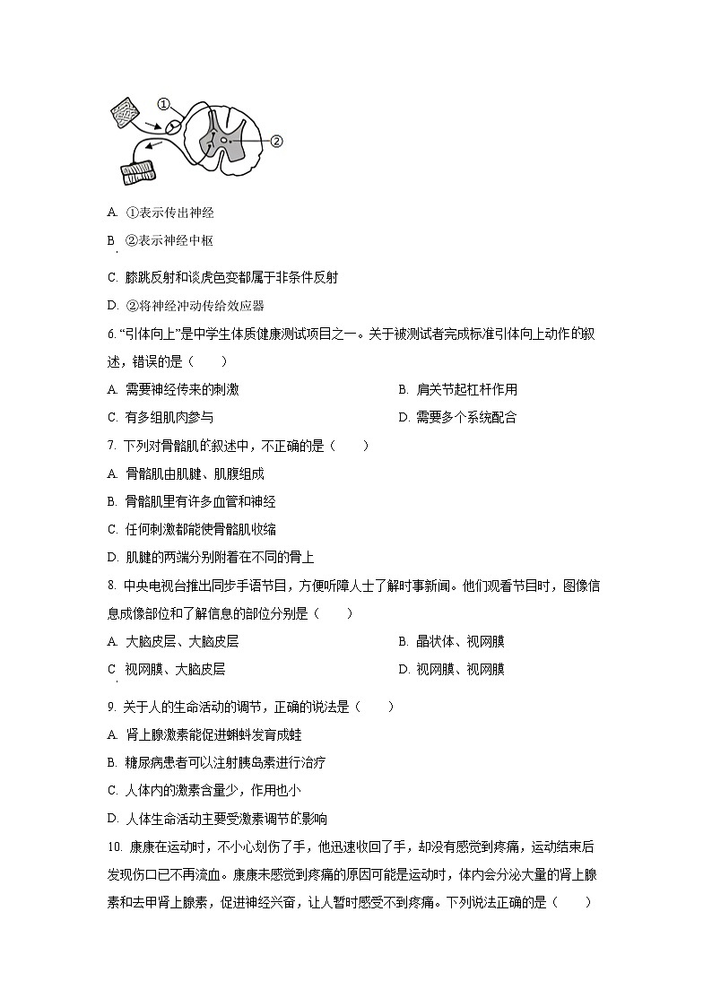 甘肃省定西市岷县2025-2026学年八年级上学期第一次学业水平检测生物试题（学生版）第2页